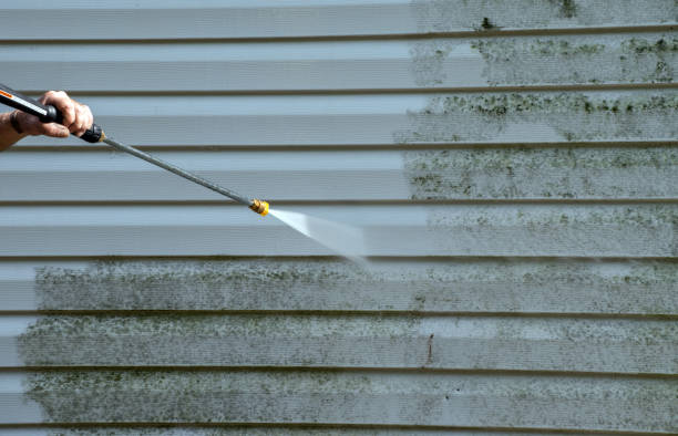 Best Gutter Cleaning and Brightening in Onalaska, WI